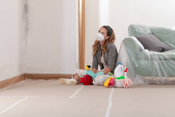Reliable Mold Cleanup contractor in Berryville, TX by Cheap Mold Removal